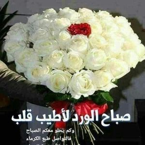 Meet your Posher, Sue